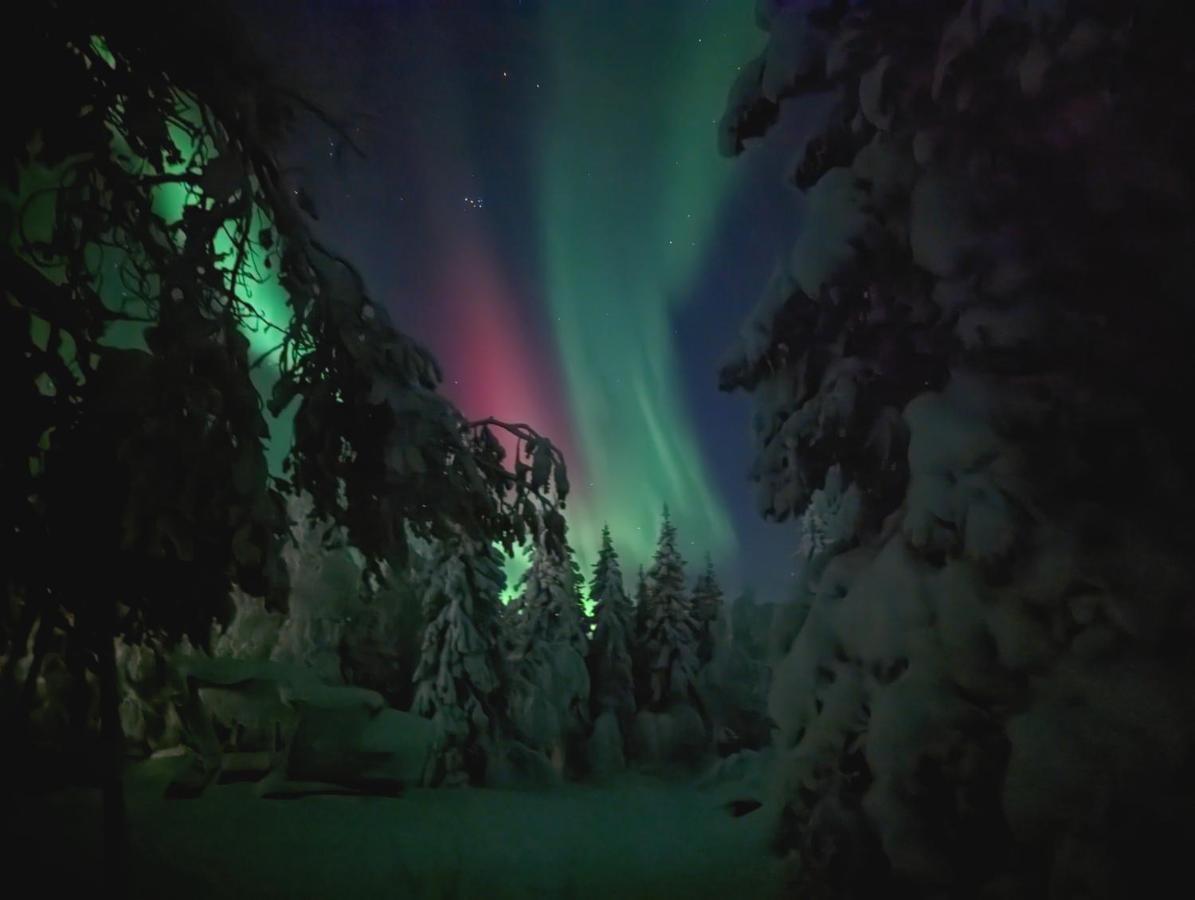 Lapland Snow Cabin Masugnsbyn Exterior photo